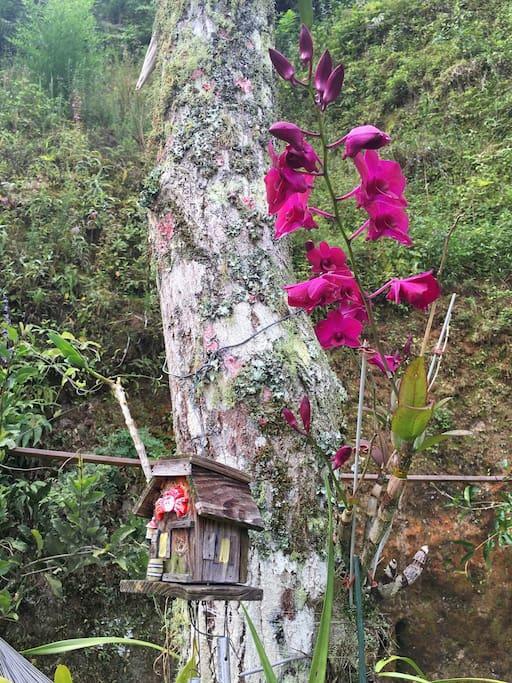 Loft Aconchego Da Serra Petrópolis 外观 照片